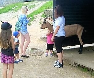 Výlet do Oldřichova